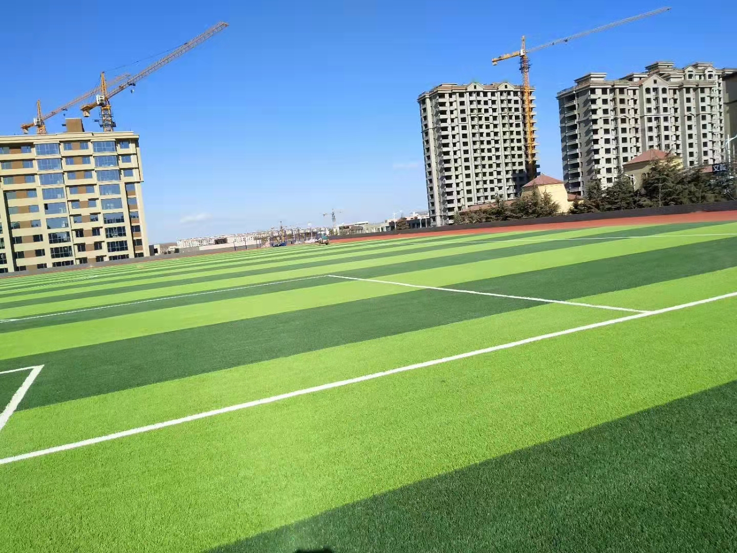 新疆全塑型足球場人造草坪 綠色環保