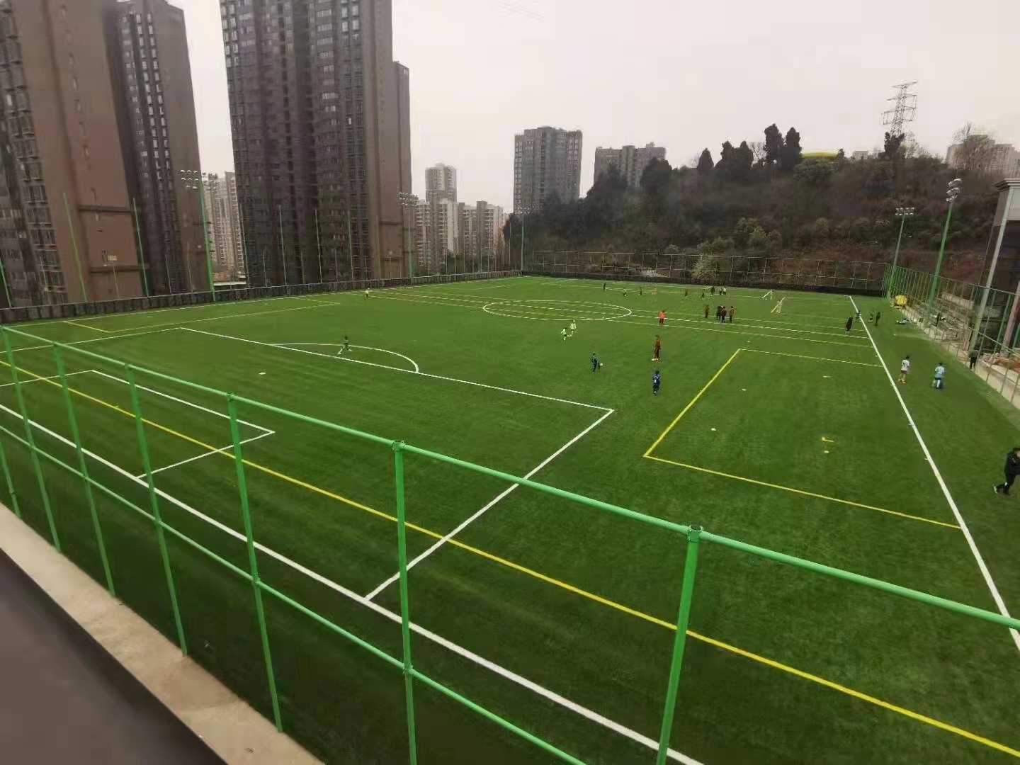 杭州足球场人造草坪绿色环保 免费寄样
