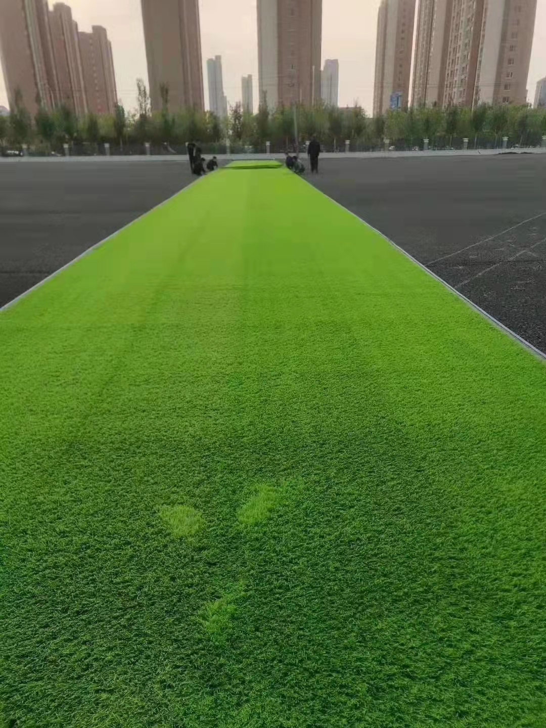 广州足球场人工草坪地面