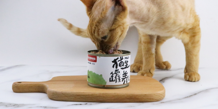 高蛋白猫生罐养猫粮适口性怎么样 猫生罐养猫罐头供应