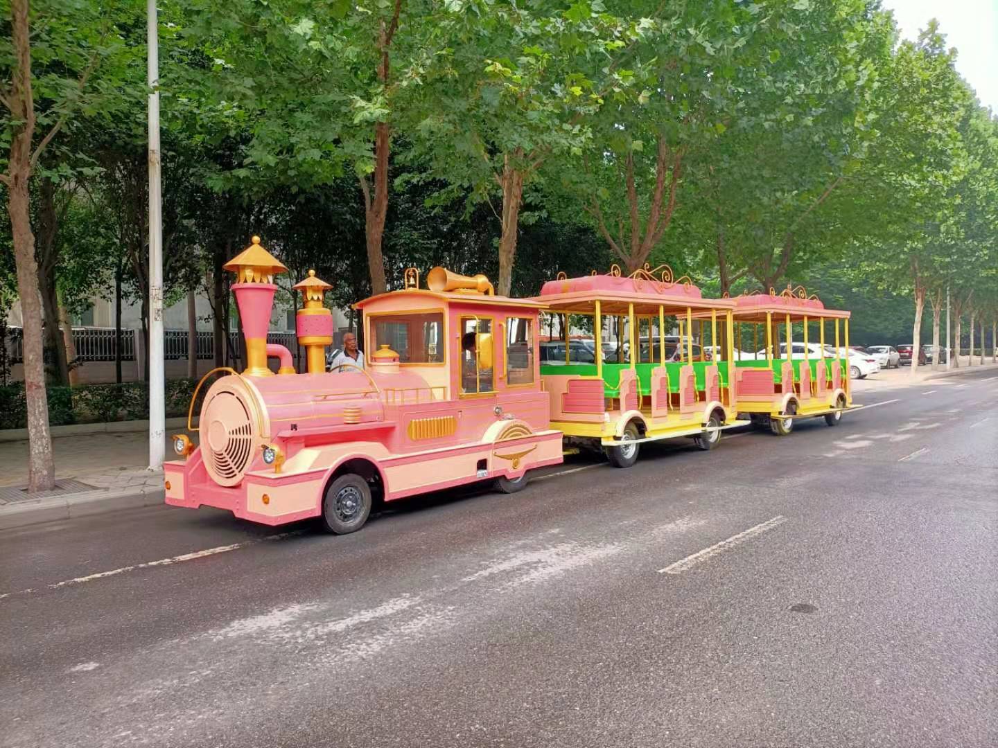 小火車 無軌電動小火車 游樂設備廠家