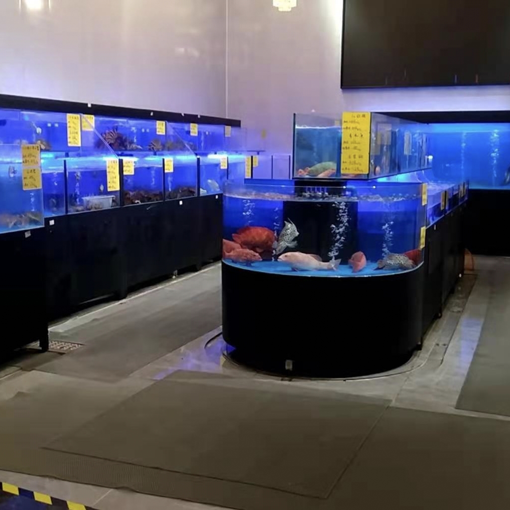 陽江酒樓海鮮 上門設計飯店海鮮池方案 惠州大灣區海鮮池定做