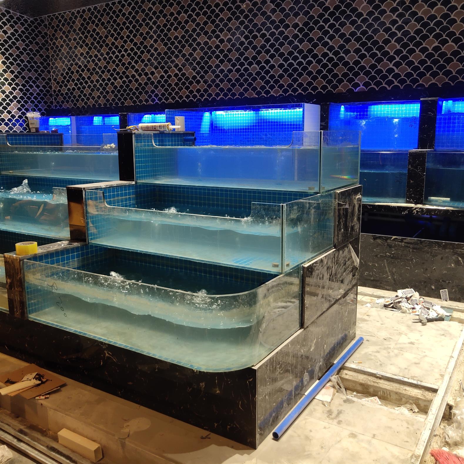 【土建海鮮魚池制作】酒店海鮮魚池多久換一次水