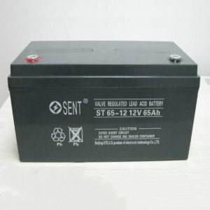 6-FM-6H免维护阀控式铅酸蓄电池