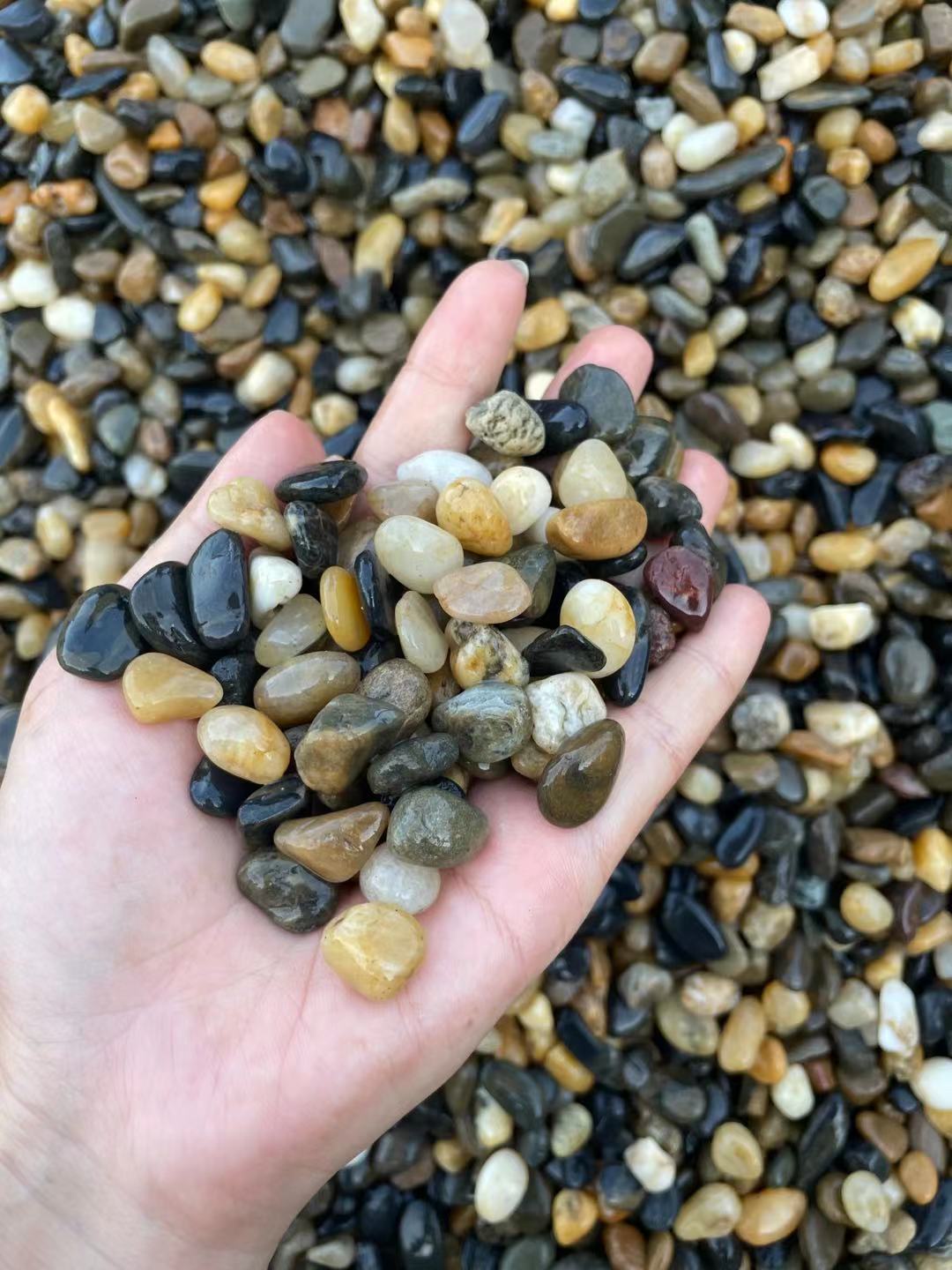 滨州水处理滤料鹅卵石批发 白色鹅卵石 各种规格尺寸