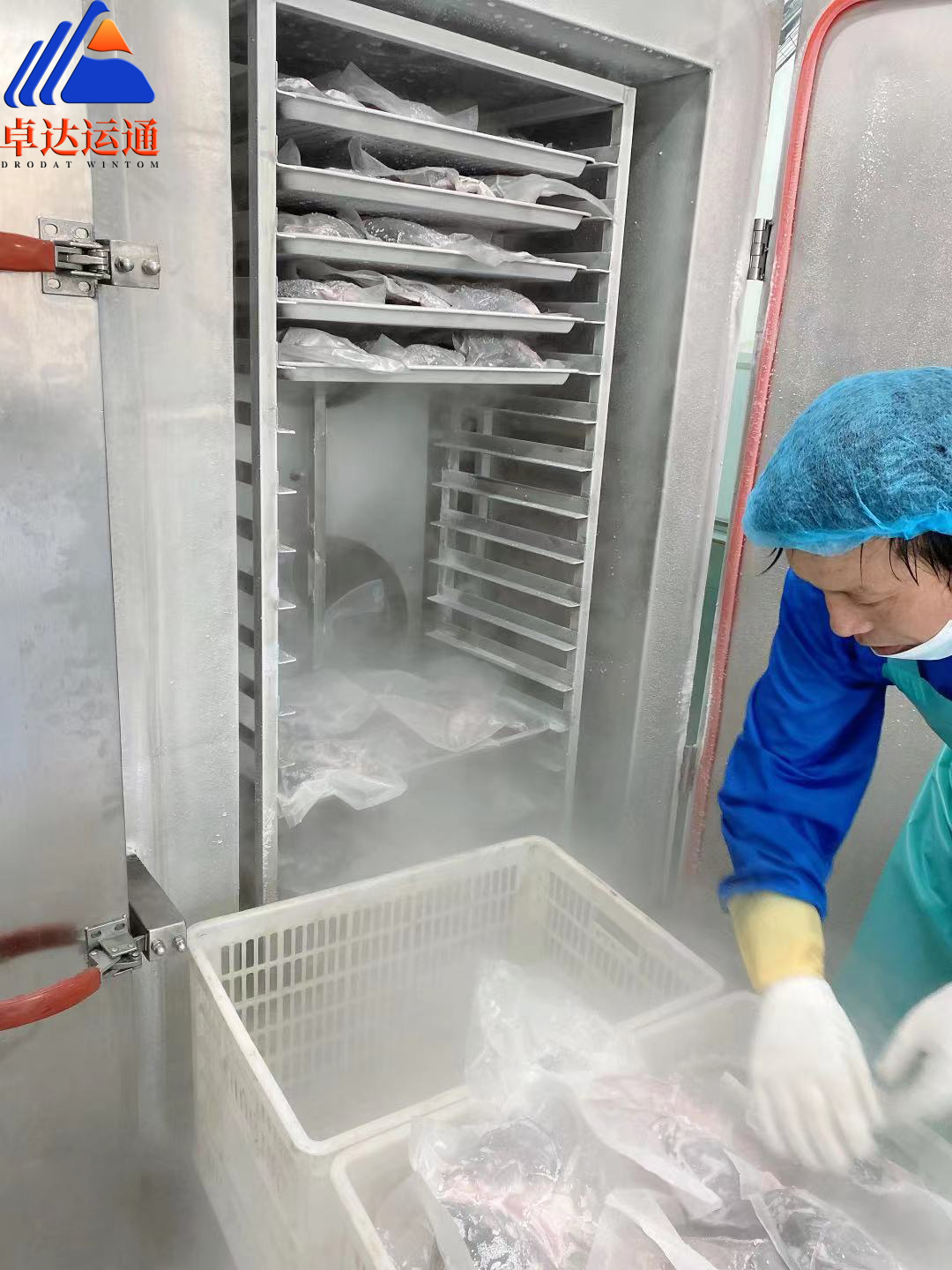 重慶客戶速凍魚頭