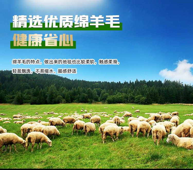 上海徐汇区 羊毛地毯定制电话