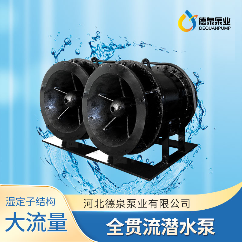 1000QGWZ-70全贯流潜水泵 湿定子贯流泵选型报价 德泉泵业