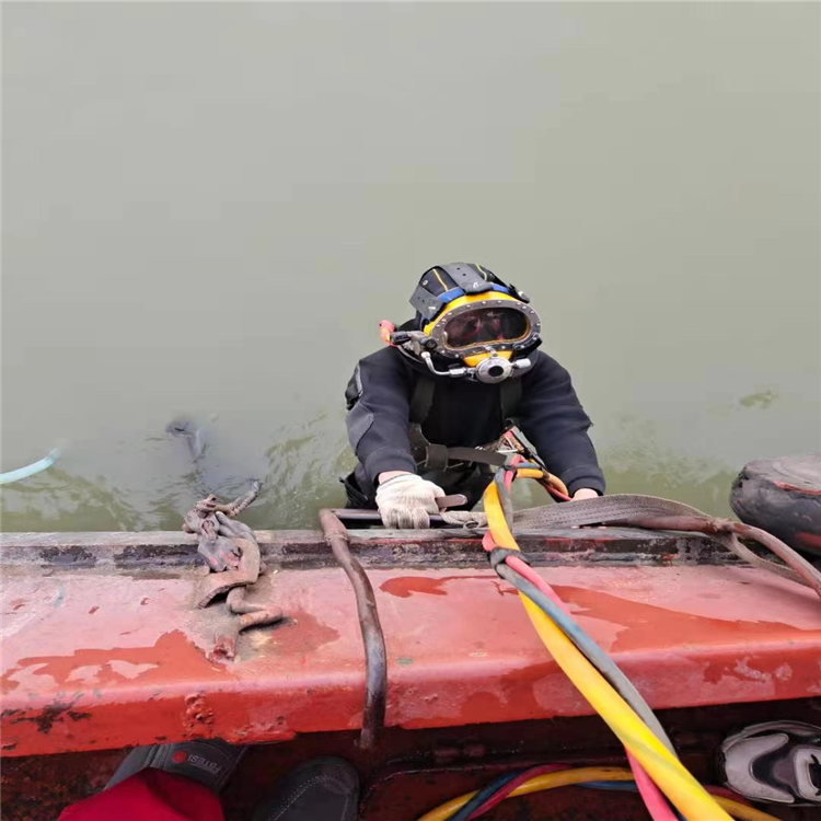 仪征市水下检测公司-蛙人潜水摄像检查