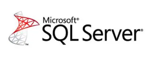 SQLSvrStd 2019 CHNS OLP NL 15Clts数据库报价