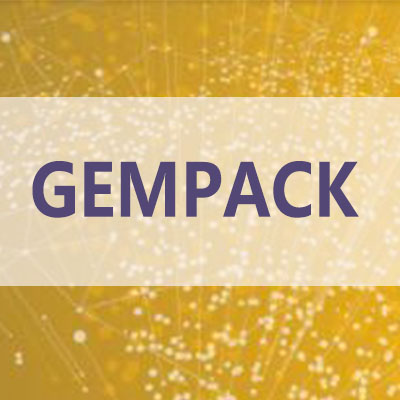 本地化服务 gempack正版软件安装教程