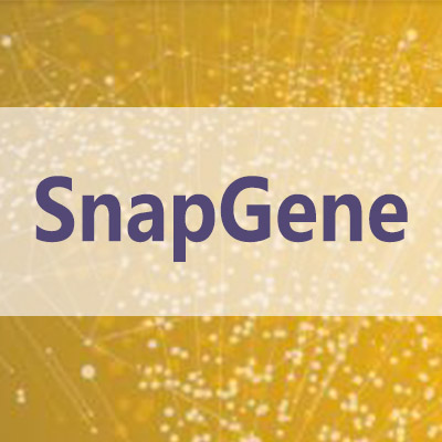 snapgene软件安装_授权经销商