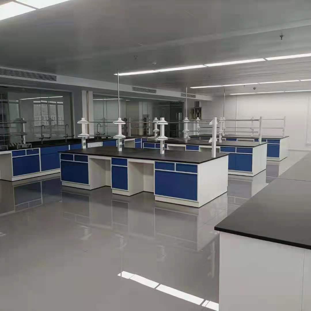 河池实验台-南丹实验室家具-凤山通风柜-罗成药品柜-试剂柜上门安装