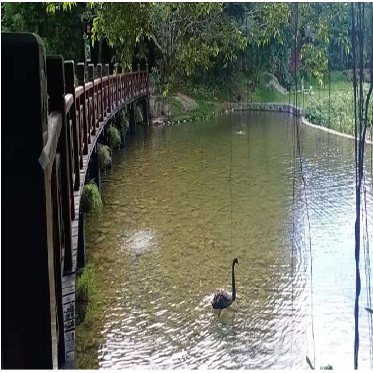 水上乐园净水设备 全自动控制 节能环保