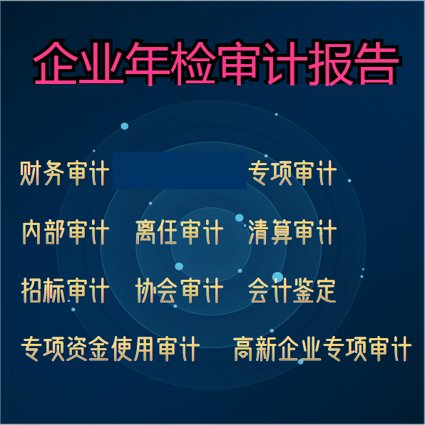 年度审计报告 广州公司资产评估 审计报告