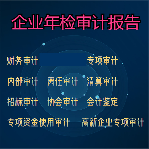 固定资产评估知识产权评估验资审计报告清算审计