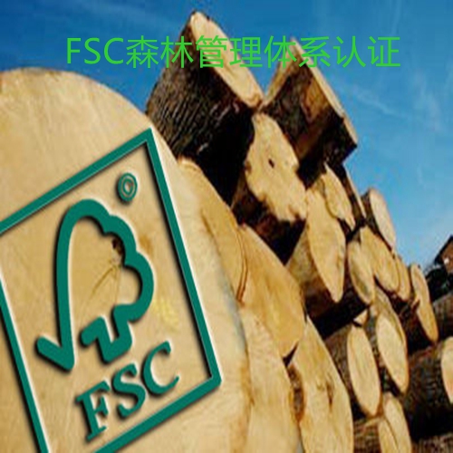 fsc认证要求 ISO20000信息技术