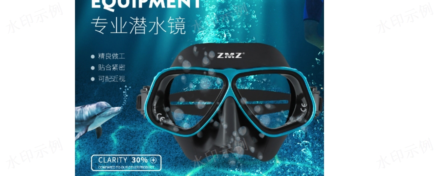 葫芦岛标准潜水镜零售 东莞市国洋运动器材供应