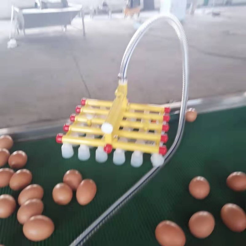 斯锐迈码蛋器 真空码蛋器 30枚鸡蛋码蛋器