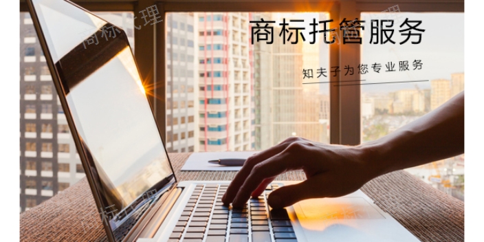 上海文字商标注册 值得信赖 浙江知夫子信息科技供应