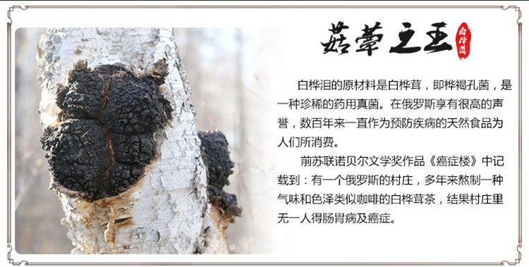 桦树茸黑金代工厂白桦茸精粉代加工
