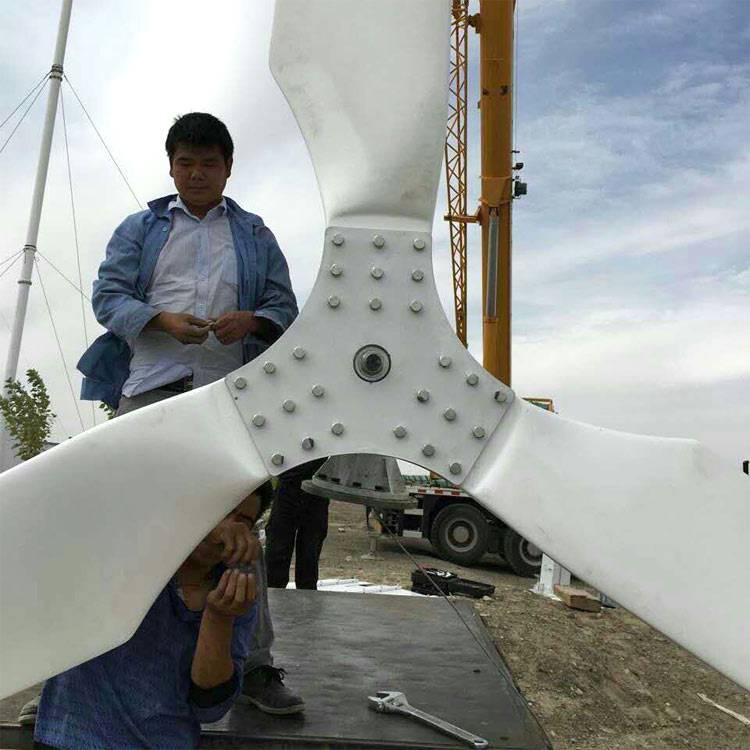 江苏贾汪2kw风力发电机 微型风力发电机运行平稳