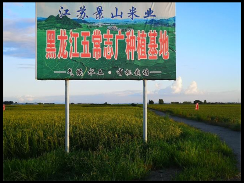 南通长粒大米 欢迎来电 江苏景山生态**农业供应