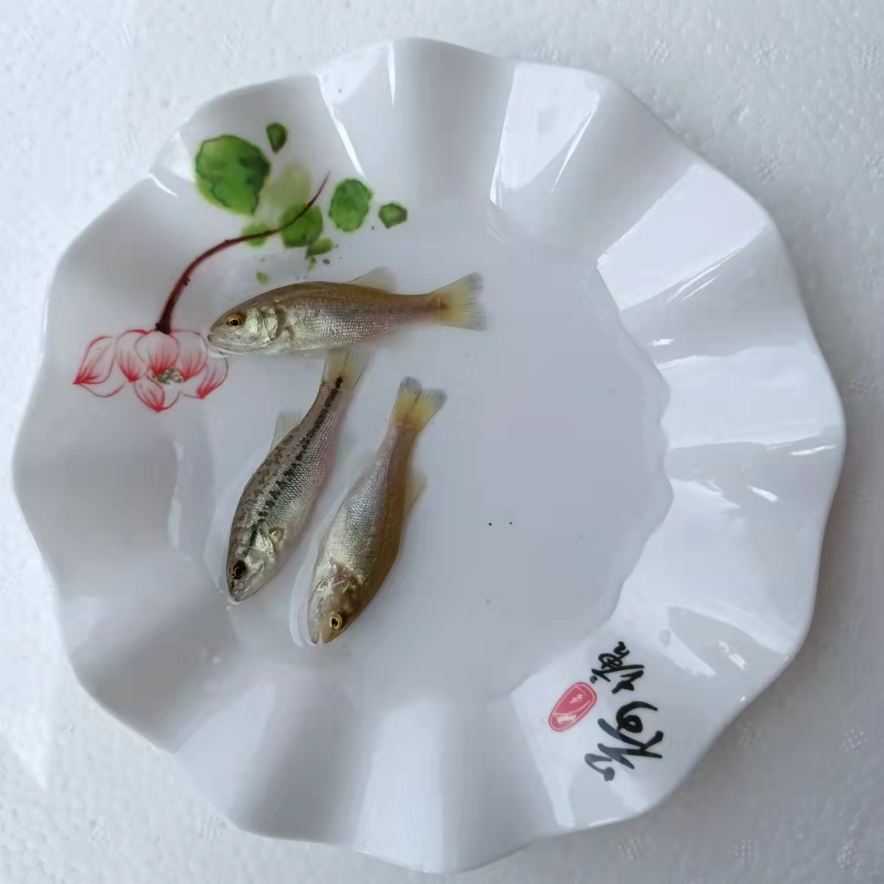 杭州室内养殖鲈鱼