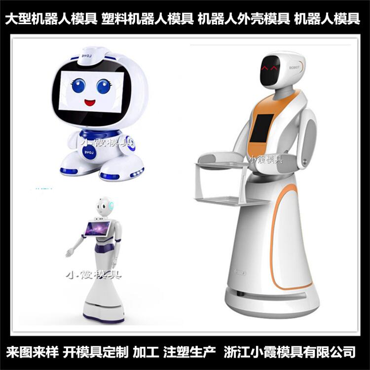 各种机器人注塑模具制作	语音机器人注塑模具加工