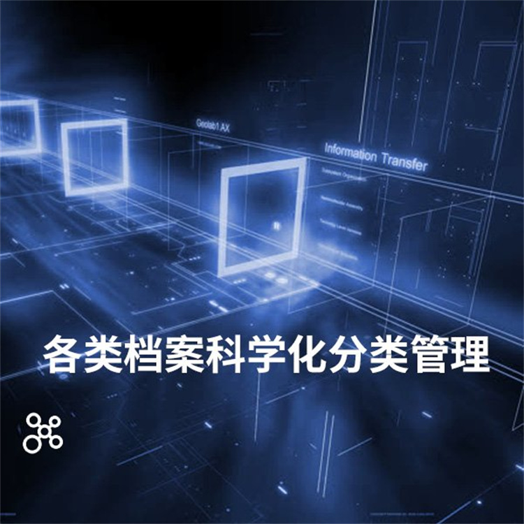 武汉档案数字化公司 信息化管理软件 信息化管理系统