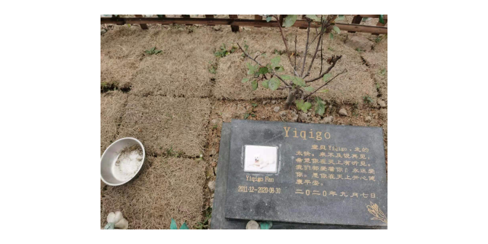 安徽宠物火化中心 上海宠淘宠物供应