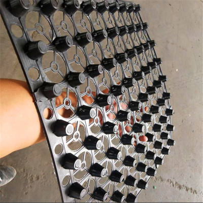 银川蓄排水板 塑料凹凸板 镂空方片状聚丙烯带孔可踩人