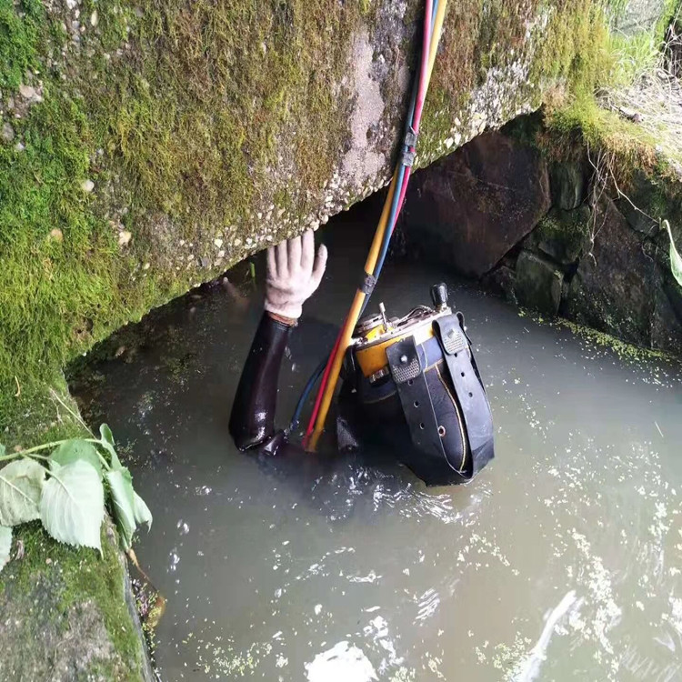 嘉兴潜水堵漏施工单位 电厂过滤管道水下堵漏公司