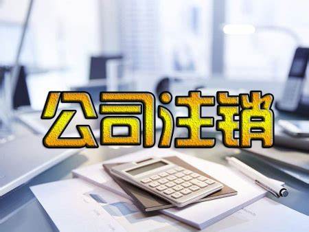 广州雅瑶镇公司注销申请流程