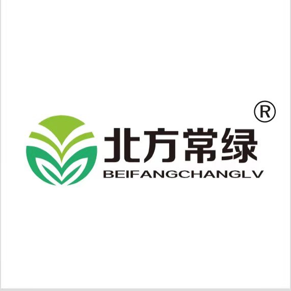 松果菊的形态特征 北京厂家批发松果菊盆栽苗 自家经营