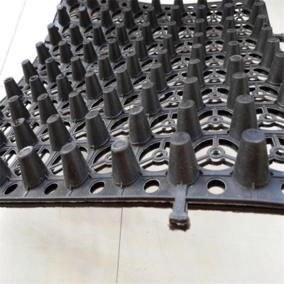 泰州20厚塑料蓄排水板生产厂家 H20mm厚HDPE蓄排水板 建筑夹层塑料板