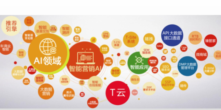 天津推广网站推广一体化 保定创天网络科技供应