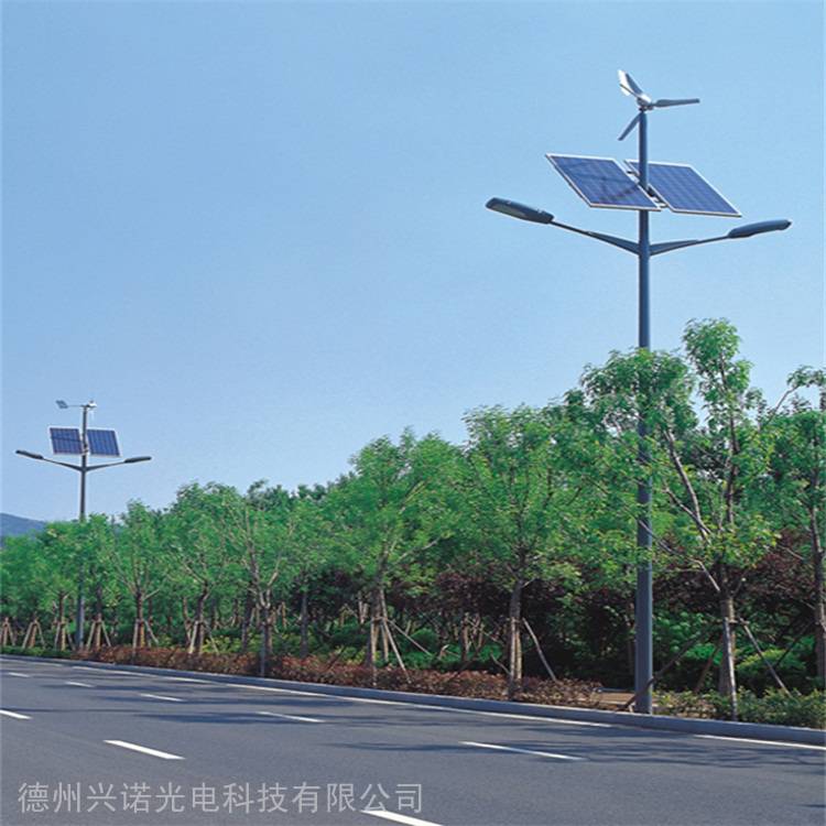 太阳能路灯厂家 风光互补型太阳能路灯 新农村户外风能路灯