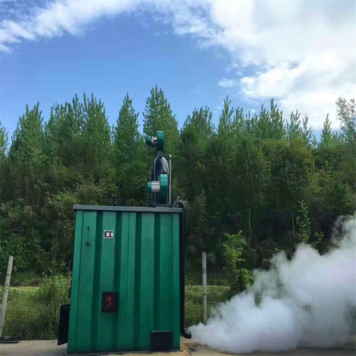 食用菌灭菌锅炉新型环保多功能反烧气化常压灭菌锅炉