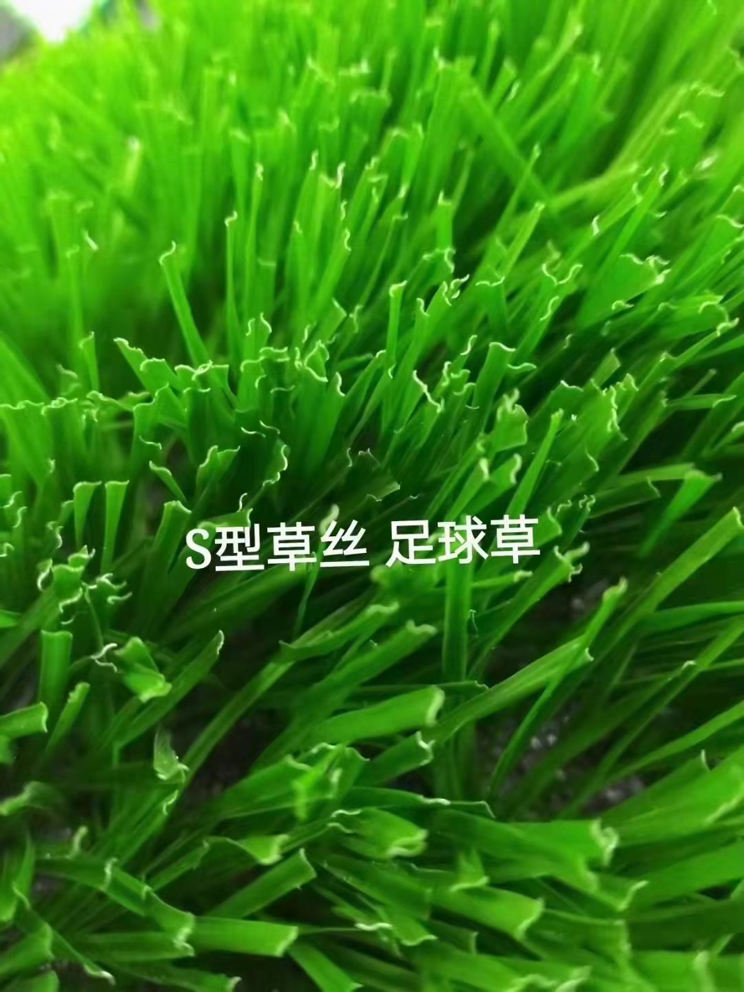 桂林景观休闲人工草坪包工包料价格