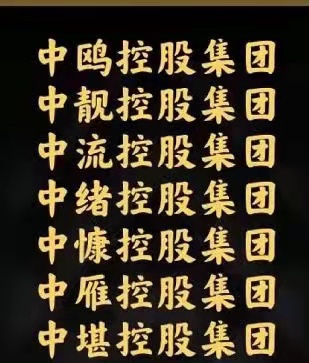 转让“中”字头控股集团公司