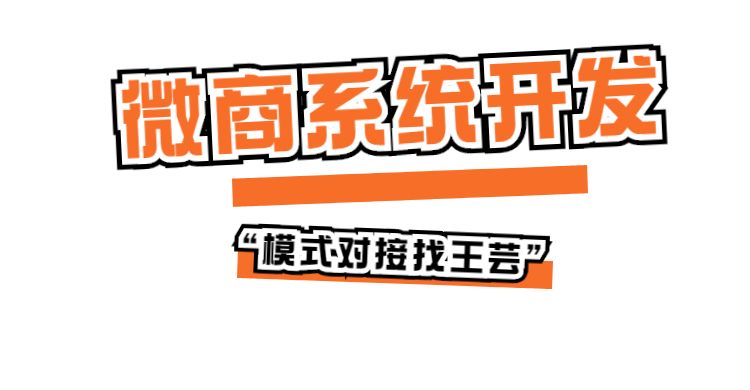 广州白云山新零售系统开发