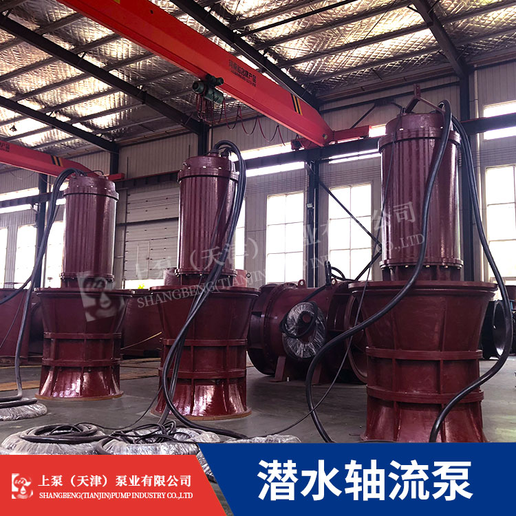 天津QZB700-125潜水轴流泵厂家现货供应