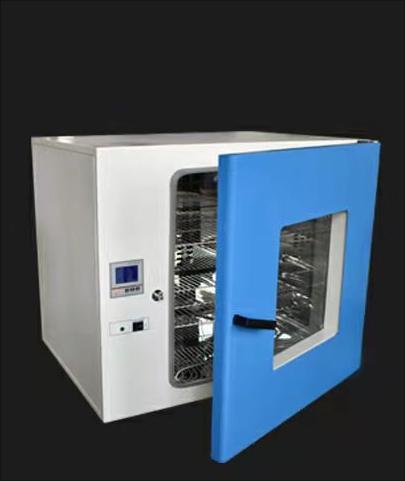 上海柏欣立式300度电热恒温鼓风干燥箱、DHG-9925A