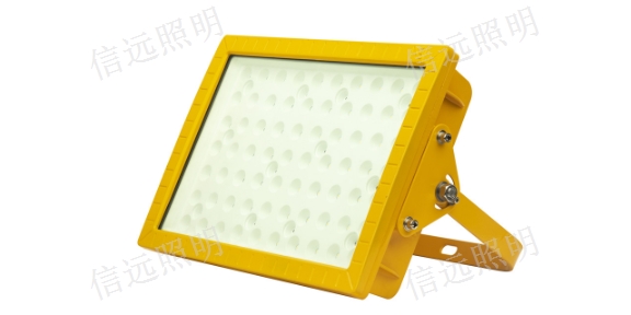 河南厂用LED防爆投光灯 信息推荐 温州市信远照明工程供应