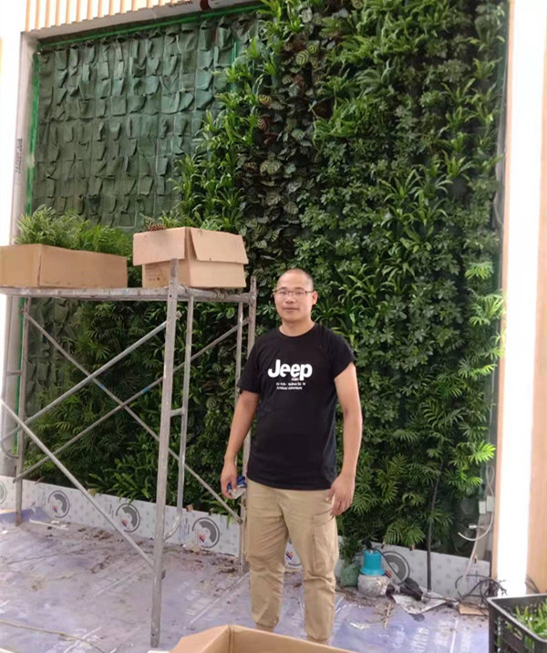 苏州翼兴园专注植物墙真活体植物墙施工养护一条龙种植盒子蜂巢