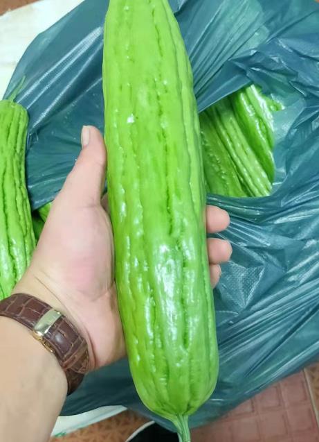 深圳市新安食材批发蔬菜配送服务公司报价表