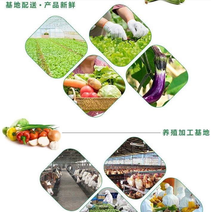 惠州大亚湾农副产品批发食堂蔬菜配送公司电话