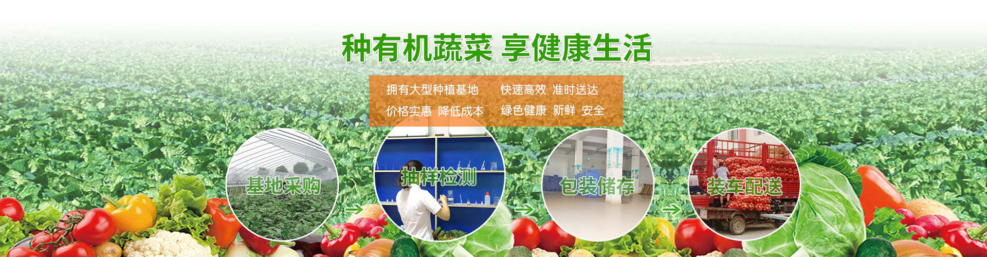 横幅广告 	 横幅广告