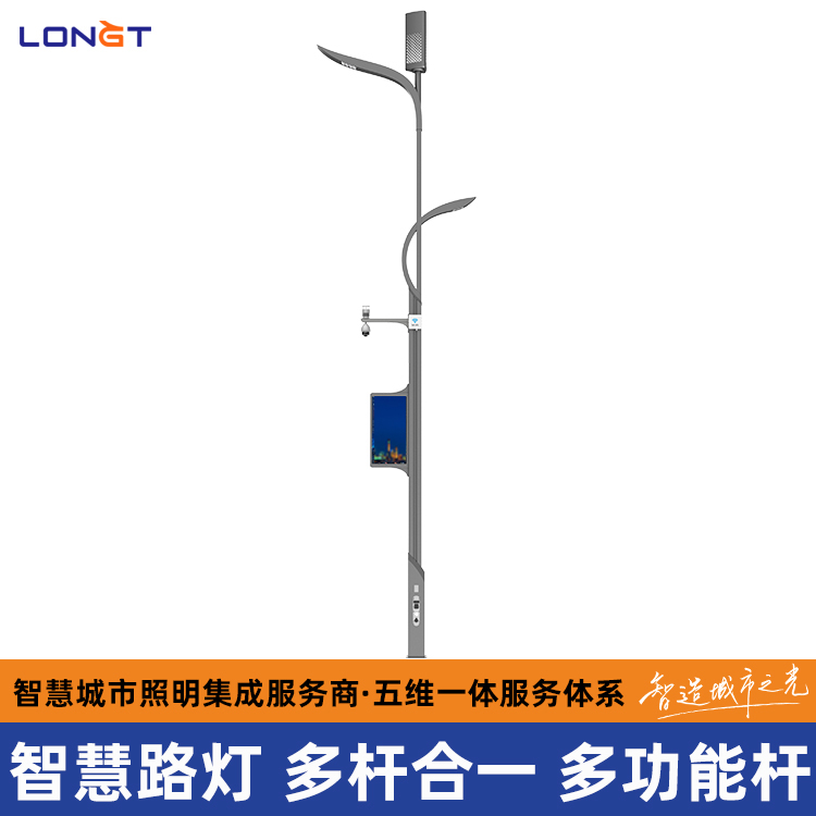 巴青县LED路灯 多功能智慧灯杆 道路照明系统